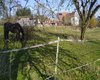 Bauernhof Ehingen  Gro�e Anzahl aktueller Bauernh�user, Bauernh�fe, Reiterh�fe, alte M�hlen - hier finden auch Sie IHR Bauernhaus, Bauernhof, Reiterhof oder alte M�hle!